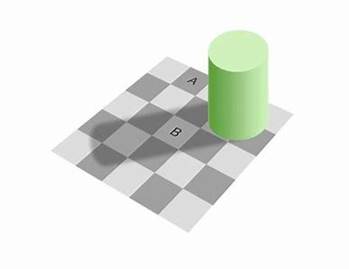 錯視 チェッカーシャドウ に対する画像結果