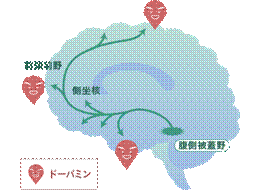 ソース画像を表示