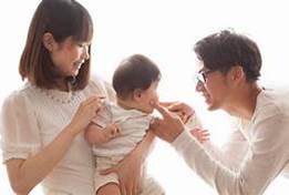 関連画像の詳細を表示