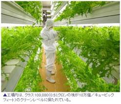 ソース画像を表示